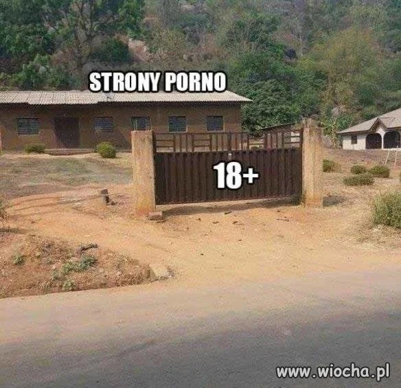 Erotyka w sieci