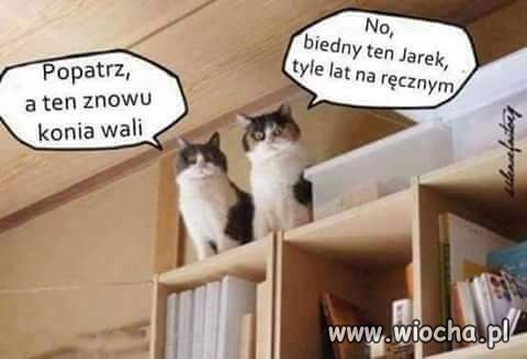 żal!!!