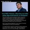 Nareszcie jakiś oficjalny głos rozsądku