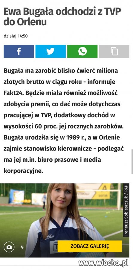 Przykład medialnego trolla na garnuszku władzy 