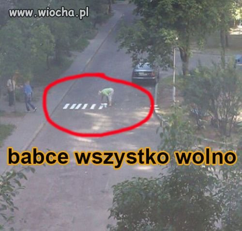 Pasy