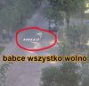 Pasy