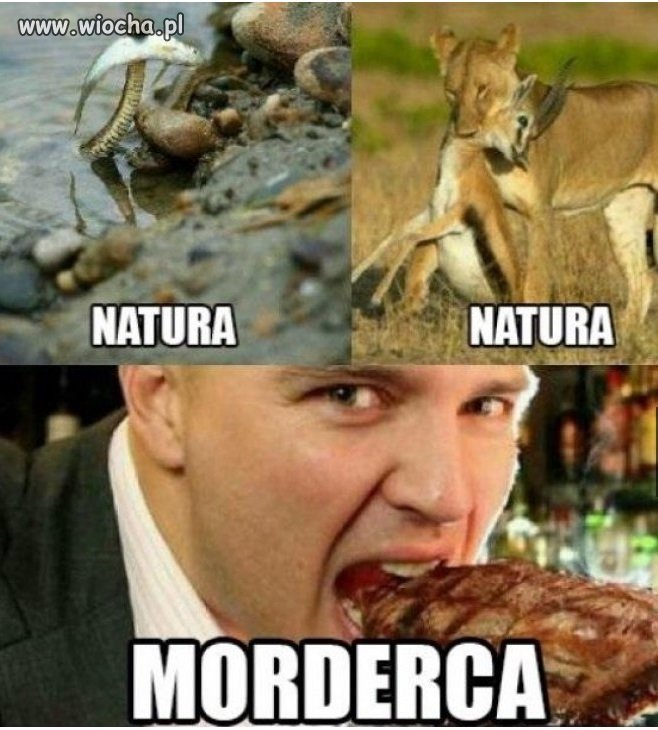 Logika wegan