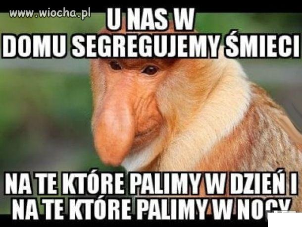 Tymczasem 