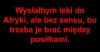 Bez sensu
