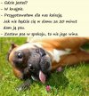 Na wesoło 