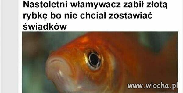 A mógł o życzenie poprosić