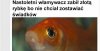 A mógł o życzenie poprosić