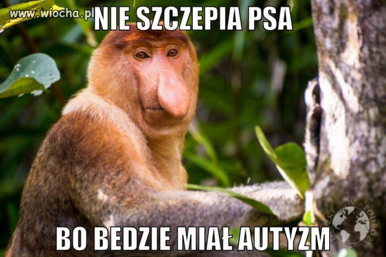 I to mi sie podoba!fundacja antyszczepionkowa zleciła 