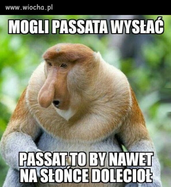 Niezawodny Passat