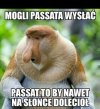 Niezawodny Passat
