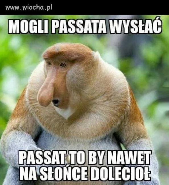 Niezawodny Passat