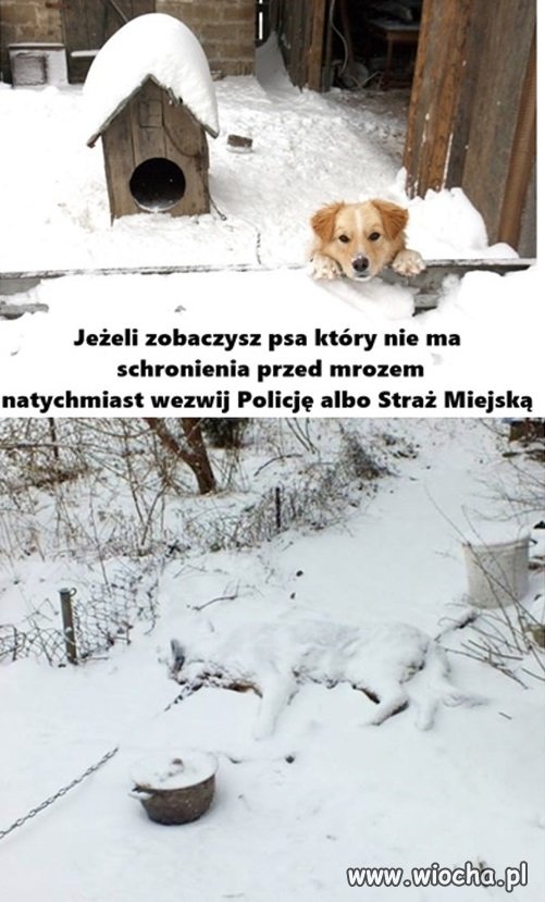 Nie myślmy tylko o sobie