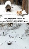 Nie myślmy tylko o sobie