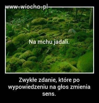 Na mchu jadali