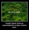 Na mchu jadali