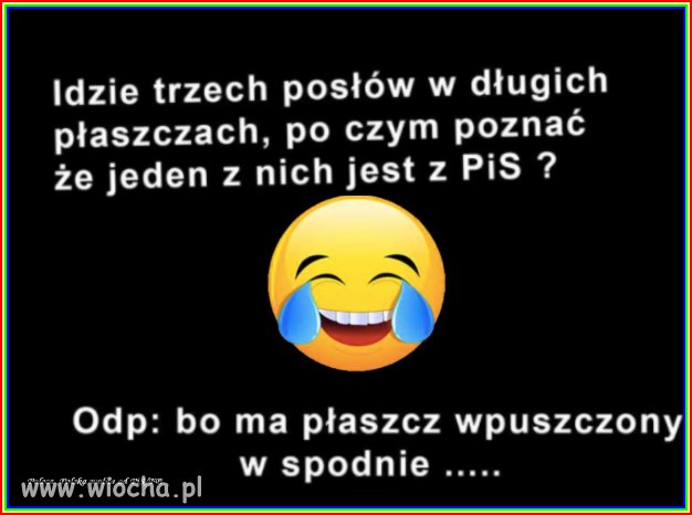 Poseł PiS