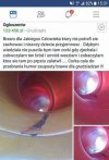 Żartowniś się znalazł
