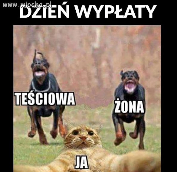 Wypłata