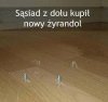 Przynajmniej się nie poślizgnie 