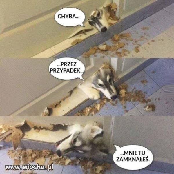 Psia logika