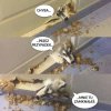 Psia logika