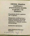 No i luzik...