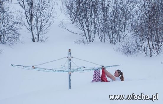 Ta pani przeniosła się z Florydy na Islandię.