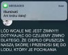 Rozgryzł spisek