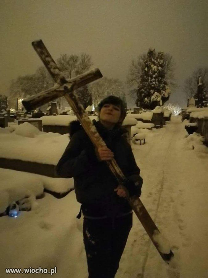 Sanok