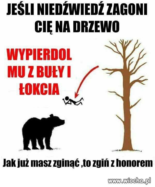 Jedyne rozwiązanie