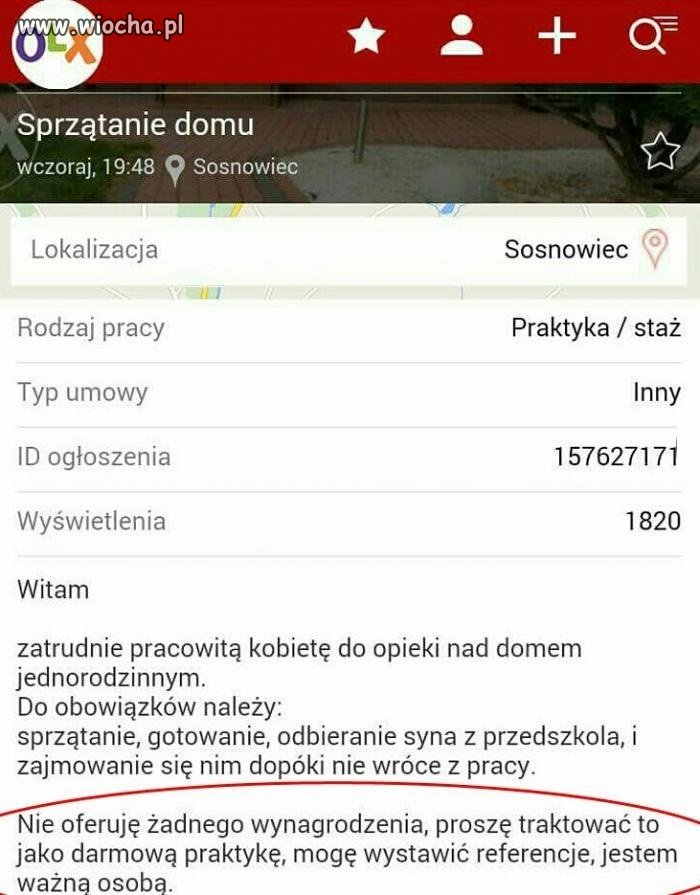 Robota jakiej potrzebuję
