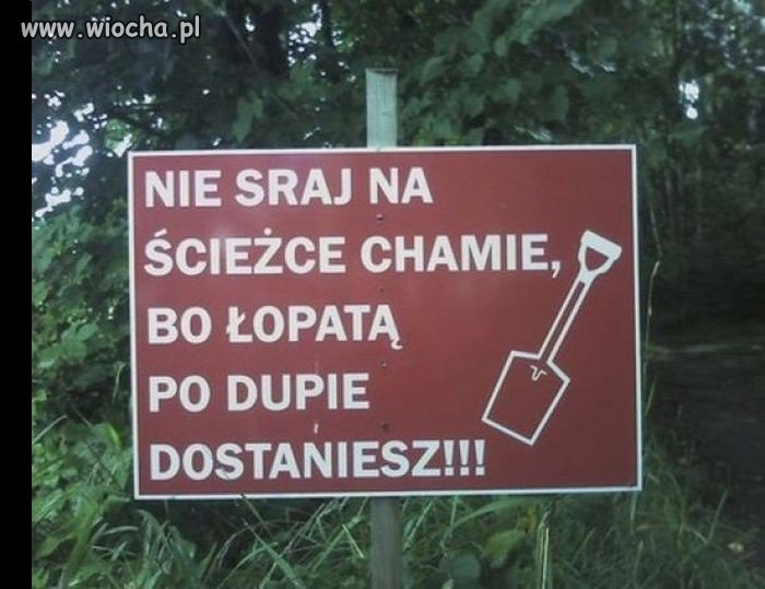 Lepiej skorzystać z rady