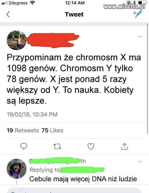 Cebula lepsza