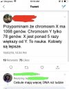 Cebula lepsza
