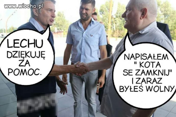 Z cyklu 