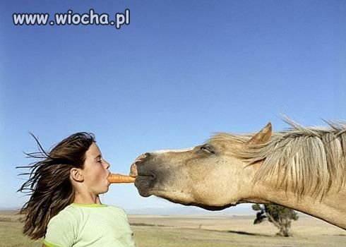 Ups teraz?