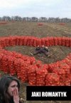 Rolnik szuka żony
