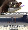 Nie przeszkadzaj kobieto