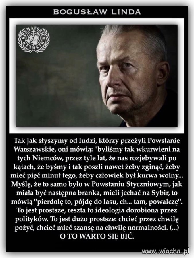 Boguś zawsze na czasie