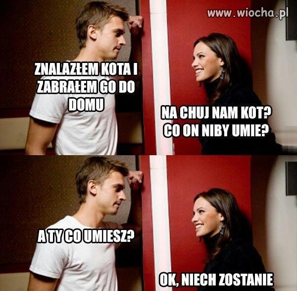 Kot  