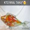 Rybka ze starych dobrych czasów