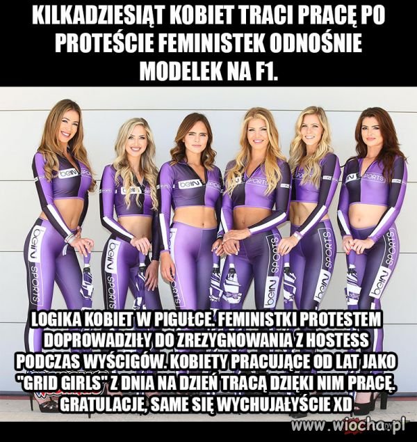 Logika feministek