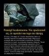 Chciał dobrze 