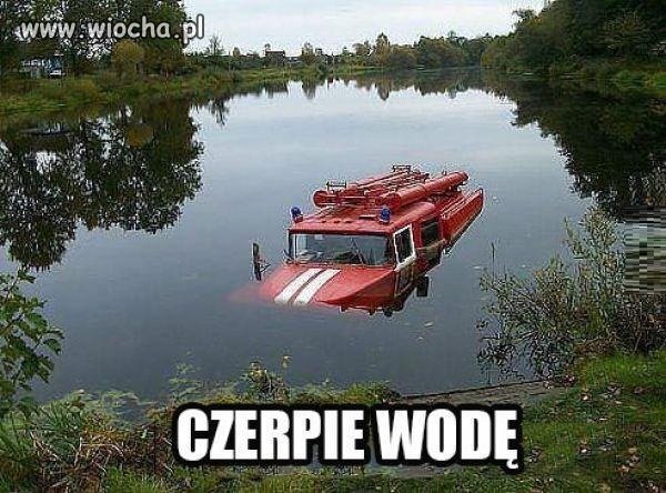 Piękny okaz