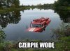 Piękny okaz