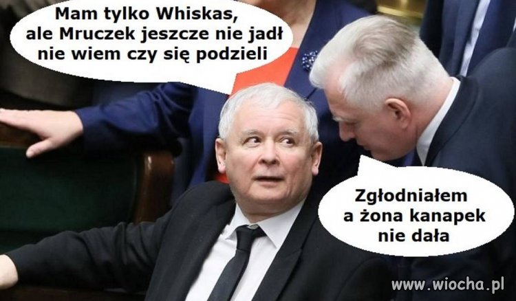 Minister Gowin