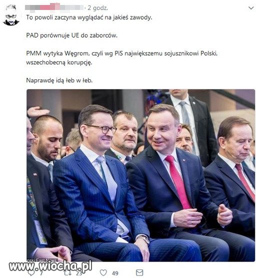 Idą łeb w łeb