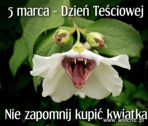 Święto