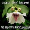 Święto